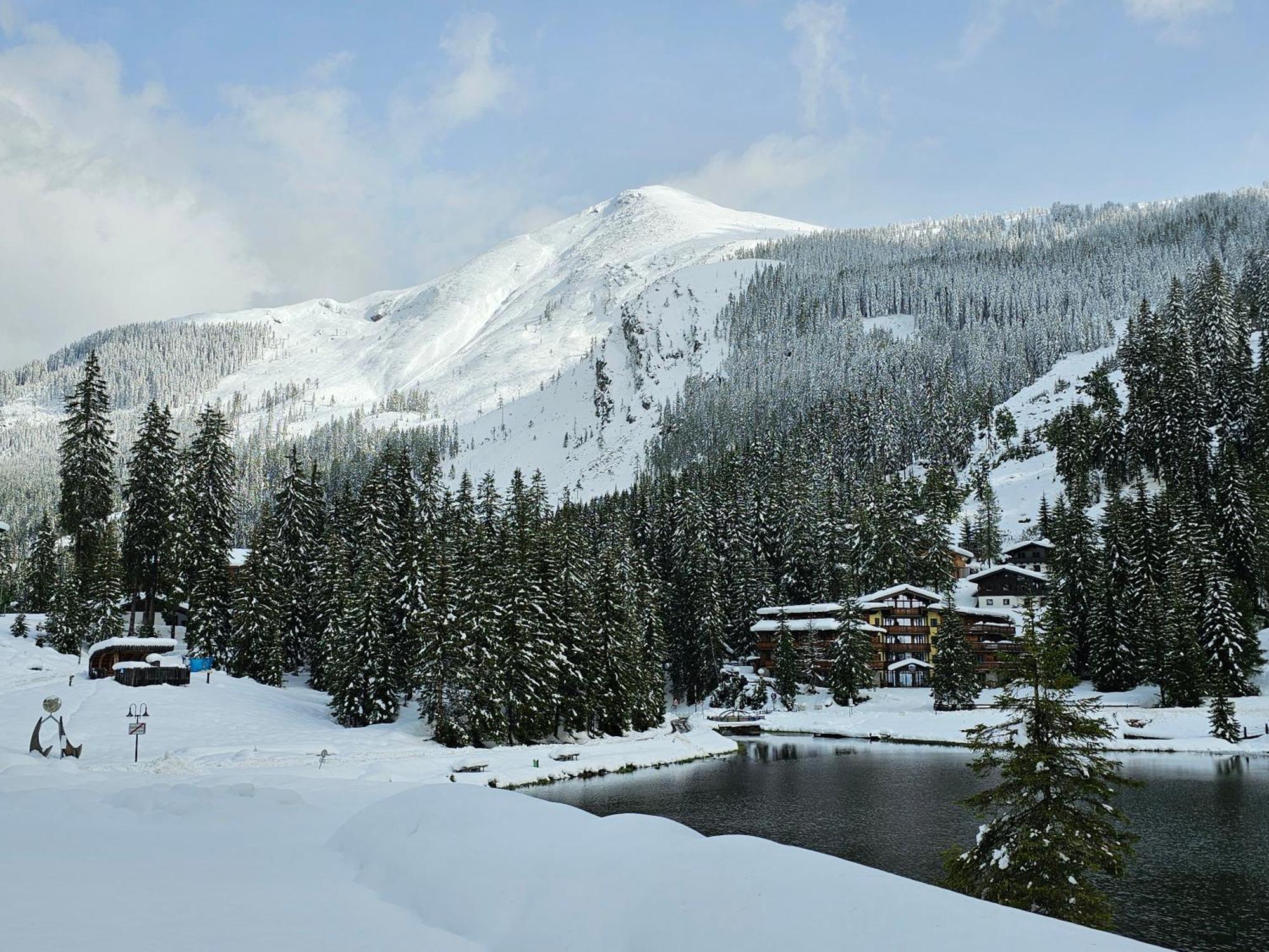 Hotel Sportalmmm, Hoch-Genuss (Adults Only) Zauchensee Exteriör bild
